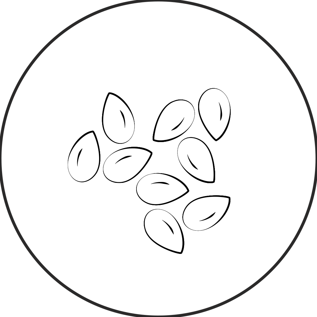 Sesame Seeds